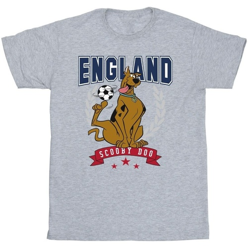 Vêtements Garçon T-shirts & Polos Scooby Doo England Football Gris