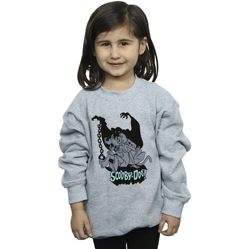 Vêtements Fille Sweats Scooby Doo Scared Jump Gris