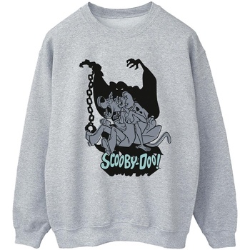 Vêtements Femme Sweats Scooby Doo Scared Jump Gris