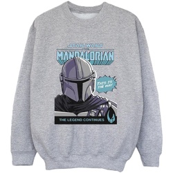 Vêtements Garçon Sweats Star Wars The Mandalorian BI36430 Gris