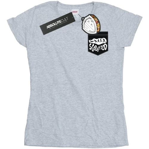 Vêtements Femme T-shirts manches longues Scooby Doo Faux Pocket Gris