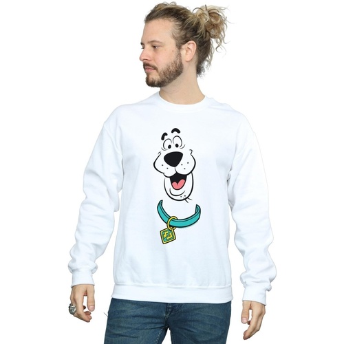 Vêtements Homme Sweats Scooby Doo Big Face Blanc