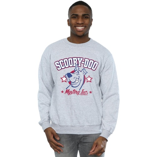 Vêtements Homme Sweats Scooby Doo Collegiate Gris