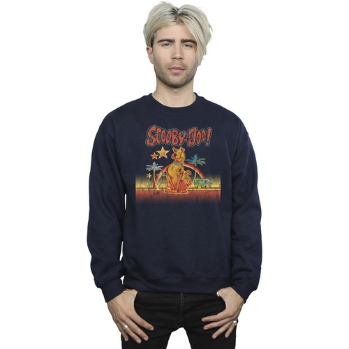 Vêtements Homme Sweats Scooby Doo Palm Trees Bleu