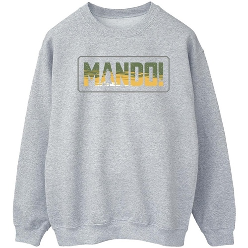 Vêtements Homme Sweats Disney The Mandalorian Gris