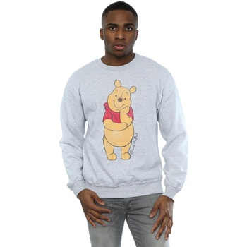 Vêtements Homme Sweats Disney Pooh Gris