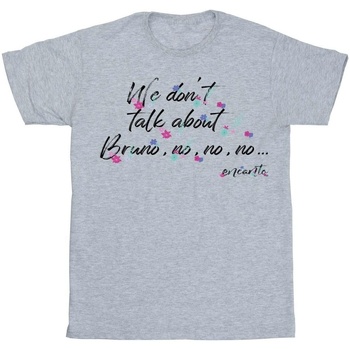 Vêtements Femme T-shirts manches longues Disney Encanto We Don't Talk About Bruno No No Gris