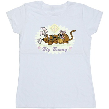 Vêtements Femme T-shirts manches longues Scooby Doo BI50043 Blanc