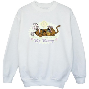 Vêtements Garçon Sweats Scooby Doo BI50250 Blanc