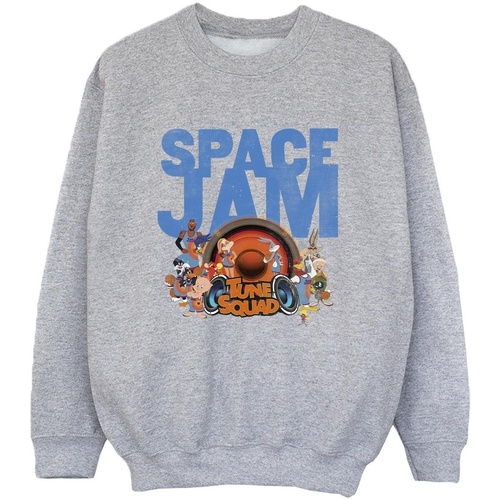 Vêtements Garçon Sweats Space Jam: A New Legacy Tune Squad Gris