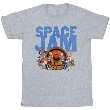 Vêtements Homme T-shirts manches longues Space Jam: A New Legacy Tune Squad Gris