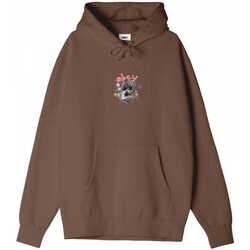 Vêtements Homme Sweats Obey garden fairy Beige