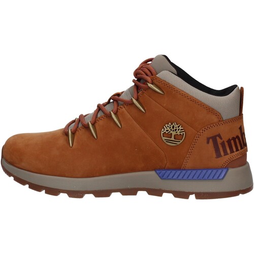 Chaussures Homme Randonnée Timberland TB0A61FZF13 Autres