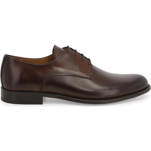 Chaussures Homme Richelieu Melluso U90601W-236866 Marron