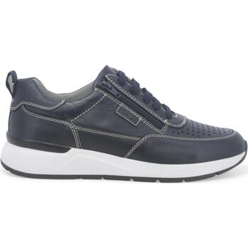 Chaussures Homme Baskets basses Melluso U55266W-233744 Bleu