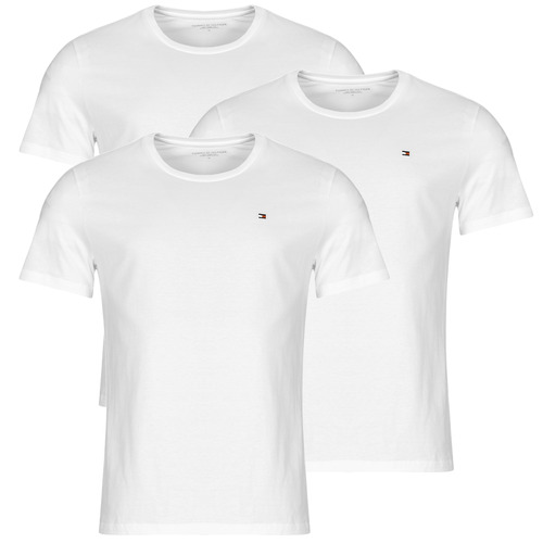 Vêtements Homme T-shirts manches courtes Tommy Hilfiger 3P SS TEE X3 Blanc