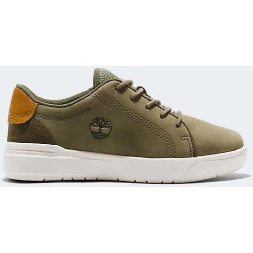 Chaussures Garçon Randonnée Timberland  Vert