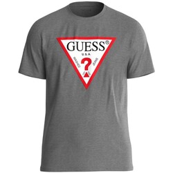 Vêtements Homme T-shirts manches courtes Guess M2YI71 I3Z14 Gris