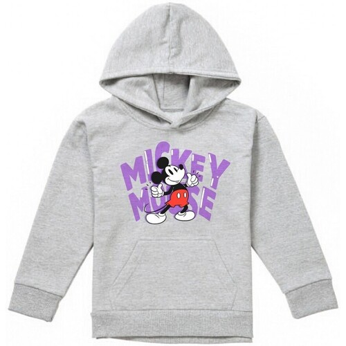 Vêtements Fille Sweats Disney TV3019 Gris