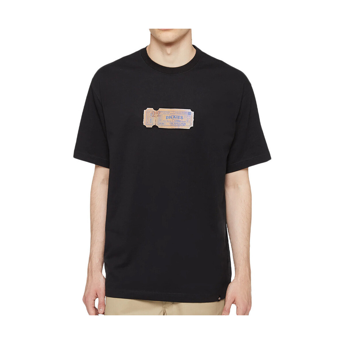 Vêtements Homme T-shirts & Polos Dickies DK0A4YFIBLK1 Noir