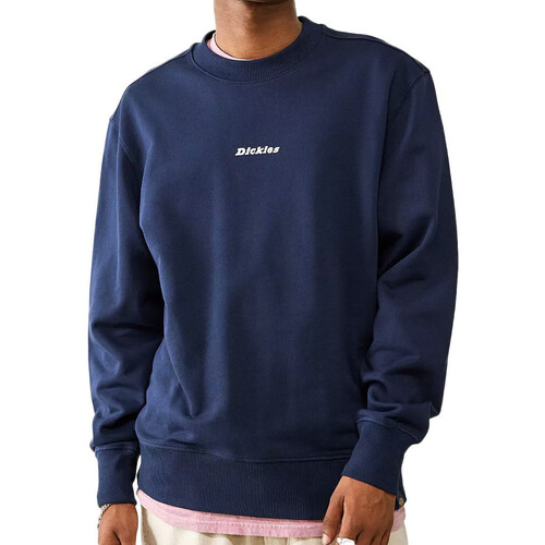 Vêtements Homme Sweats Dickies DK0A4Z1XNV01 Bleu