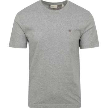 Vêtements Homme T-shirts & Polos Gant T-shirt Shield Logo Gris Gris