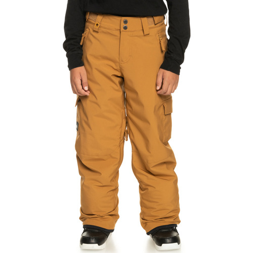 Vêtements Garçon Pantalons Quiksilver Porter Marron