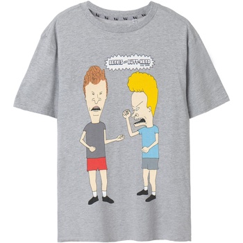 Vêtements Homme T-shirts manches longues Beavis & Butthead Classic Gris