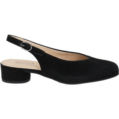 Chaussures Femme Escarpins Hassia Escarpins Noir