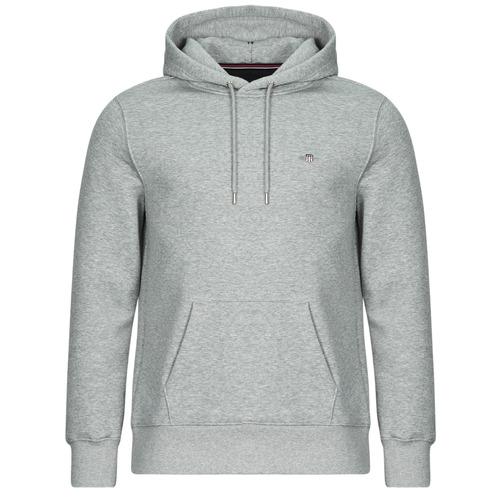 Vêtements Homme Sweats Gant REG SHIELD HOODIE Gris