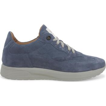 Chaussures Homme Baskets basses Melluso U16256W-233231 Bleu