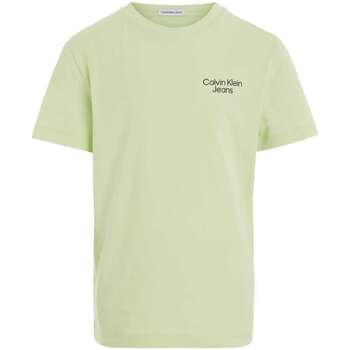 Vêtements Garçon T-shirts manches courtes Calvin Klein Jeans 160887VTPE24 Vert