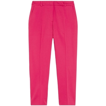 Vêtements Femme Pantalons Max Mara  Autres