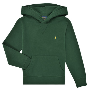 Polo Ralph Lauren LS PO HOOD-TOPS-KNIT