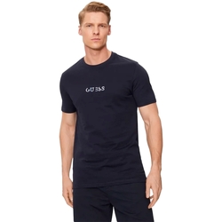 Vêtements Homme T-shirts manches courtes Guess Classic Bleu