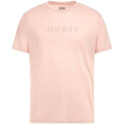 Vêtements Homme T-shirts manches courtes Guess  Multicolore