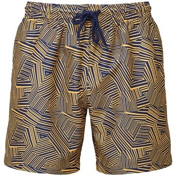 Vêtements Homme Shorts / Bermudas The Wombats RW9993 Bleu