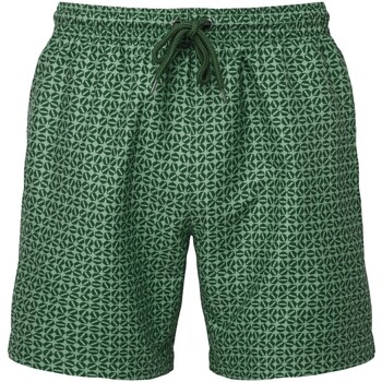 Vêtements Homme Shorts / Bermudas The Wombats RW10109 Vert