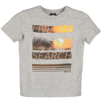 Vêtements Enfant Polos manches courtes Rip Curl PALM PICTURE SS TEE Gris