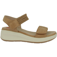 Chaussures Femme Sandales et Nu-pieds Doctor Cutillas Sandales Docteur Cutillas 31612 Marron