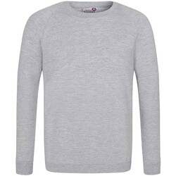 Vêtements Enfant Pulls Awdis Academy Gris