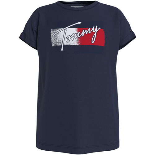 Vêtements Enfant T-shirts & Polos Tommy Hilfiger  Bleu