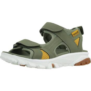 Chaussures Garçon Sandales et Nu-pieds Timberland LINCOLN PEAK Vert