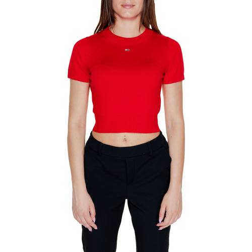 Vêtements Femme Pulls Tommy Hilfiger TJW CRP SS CREW DW0DW18530 Rouge