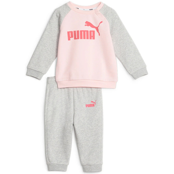 Vêtements Fille Ensembles de survêtement Puma 846143-24 Rose