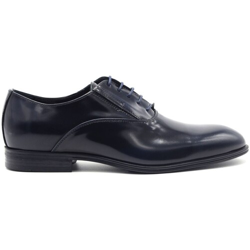 Chaussures Homme Derbies & Richelieu Melluso  Bleu