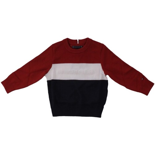 Vêtements Garçon Pulls Tommy Hilfiger KB0KB09150 Multicolore