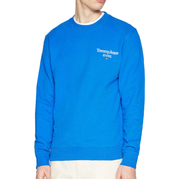 Vêtements Homme Sweats Tommy Hilfiger DM0DM18609 Bleu