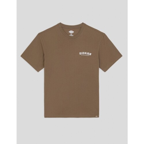 Vêtements Homme T-shirts manches courtes Dickies  Marron