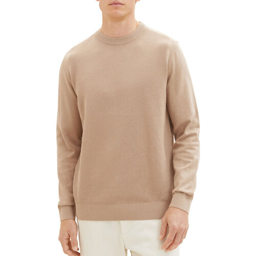 Vêtements Pulls Tom Tailor Pull  JUMPER Sand Beige